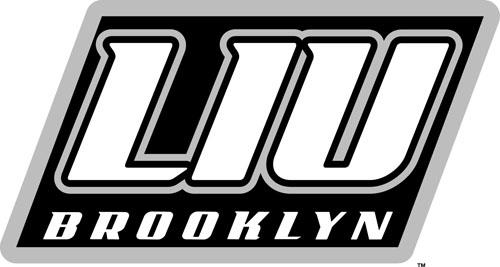 LIU-Brooklyn Blackbirds 2008-Pres Alternate Logo t shirts iron on transfers v2